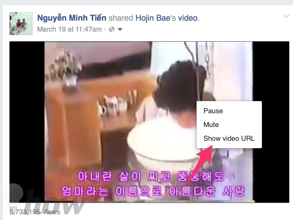 download Facebook videos