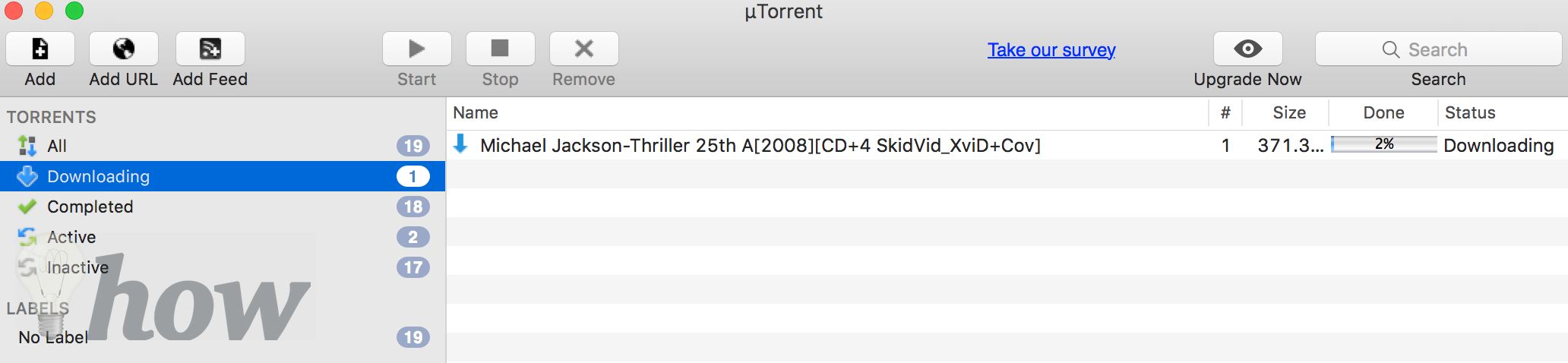 Download Torrents On Mac