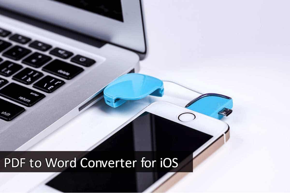 PDF to Word Converter