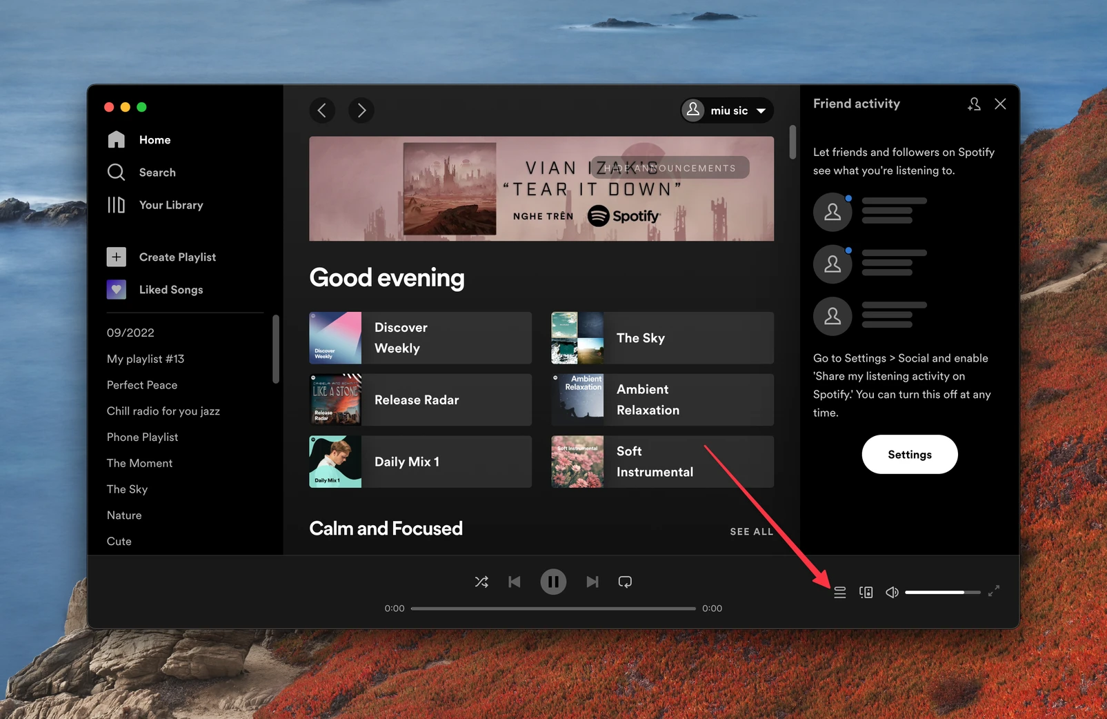 spotify desktop