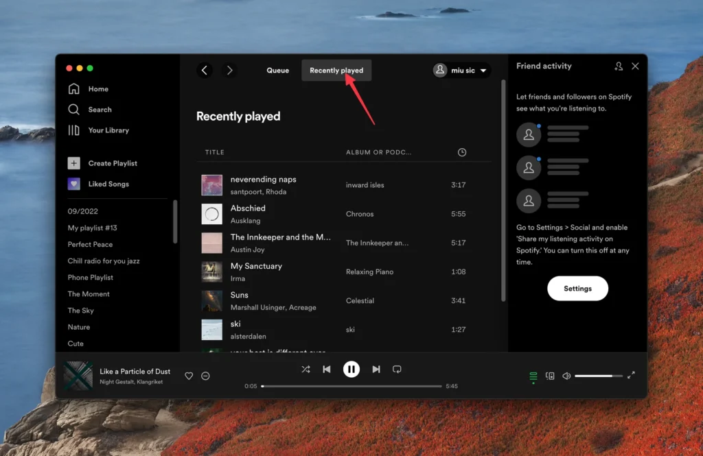 spotify desktop