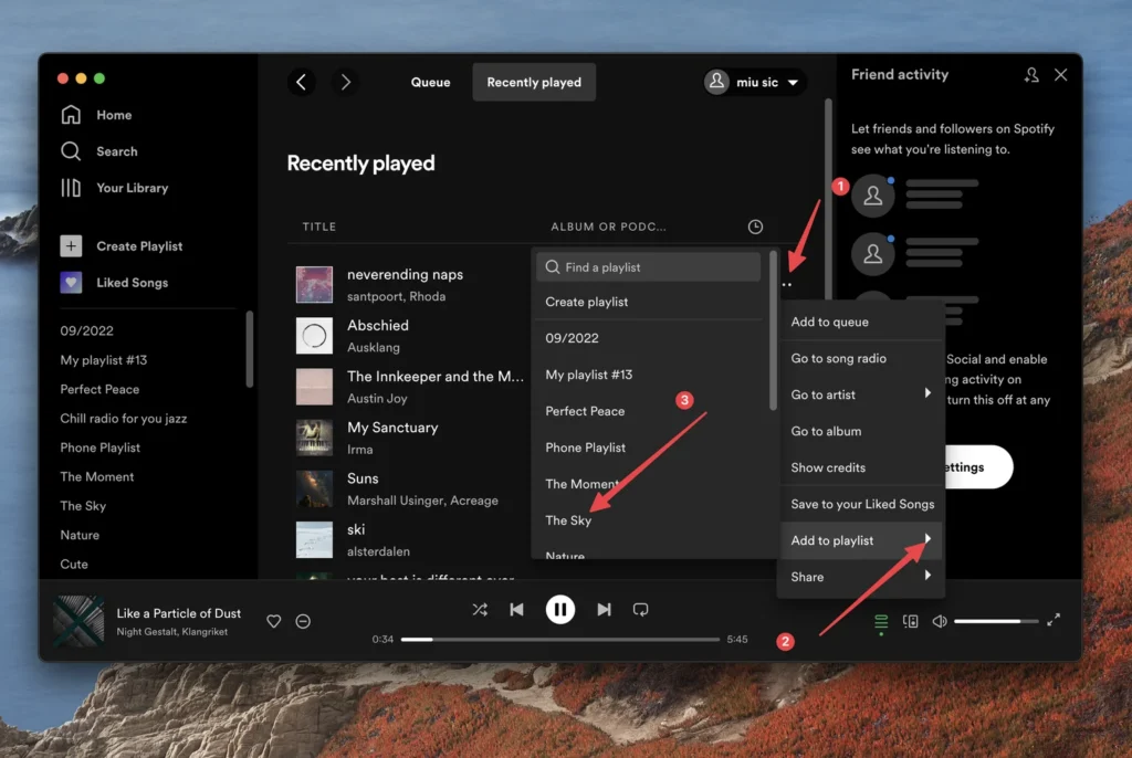 spotify desktop