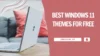 windows 11 theme