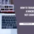How to Take Amazing Pictures With Your Android Phone
