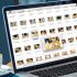 Bitstream Vs PCM: 6 Ways To Tell Them Apart